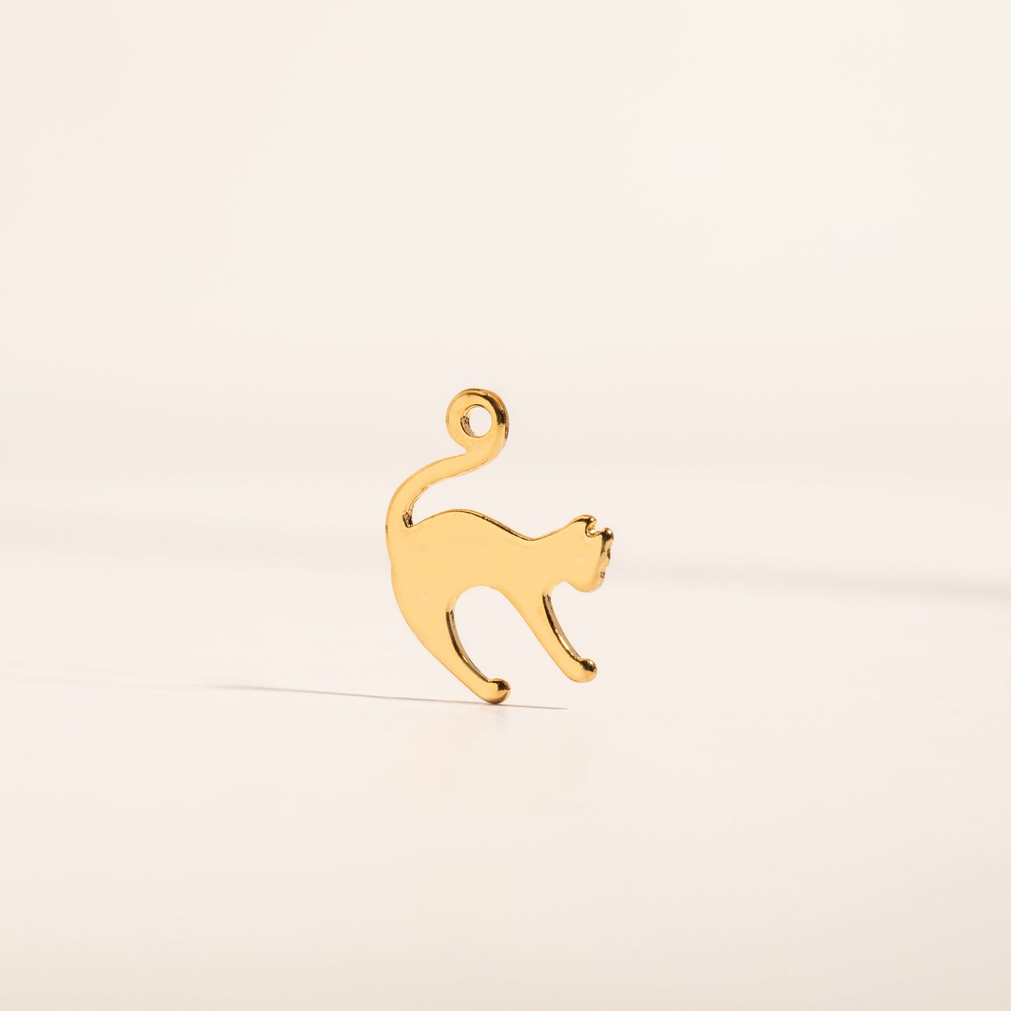 Cat Charm